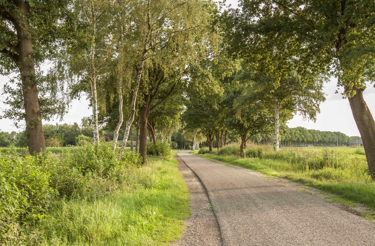 Bed & Breakfast Bed In Brabant Veghel Bed & Breakfast Eksteriør bilde